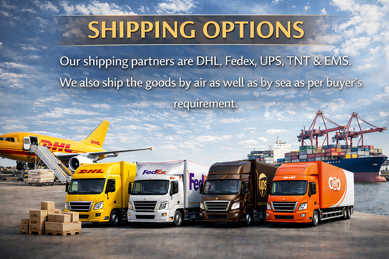 Shipping and logistics in action